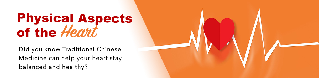 Traditional Chinese Medicine for Heart