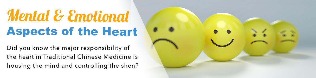 Traditional Chinese Medicine helps Shen