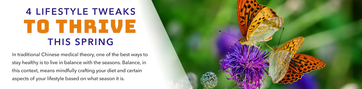 Traditional Chinese medical theory