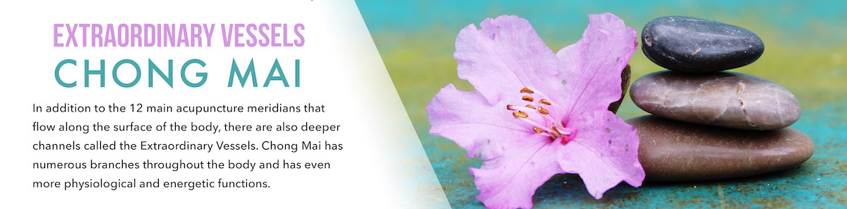 Extraordinary Vessels